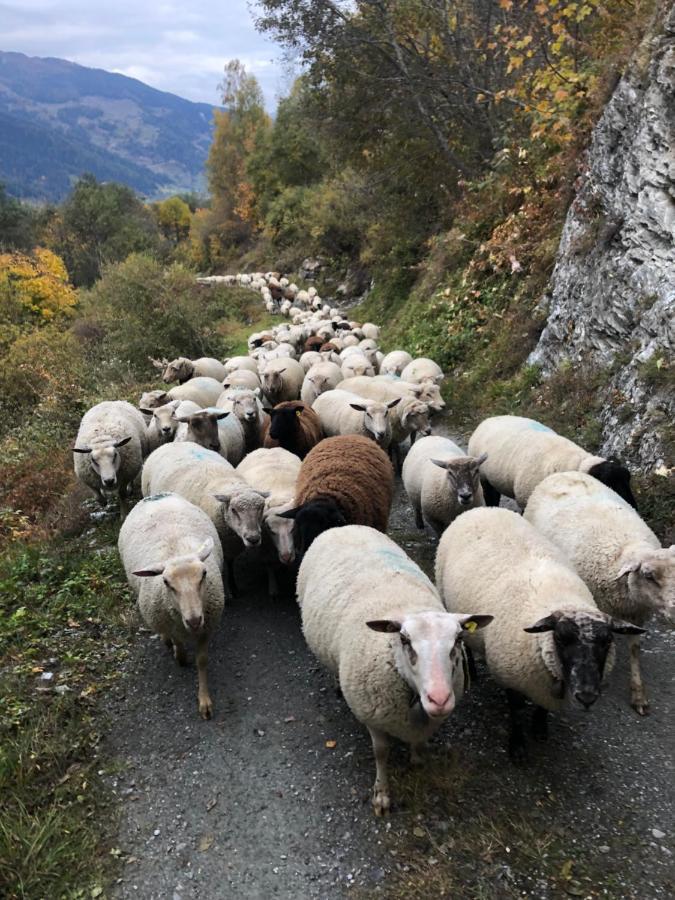 Hotel Grand-Combin Fionnay エクステリア 写真